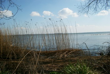 Usedom Achterwasser